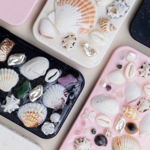 Seashell Case